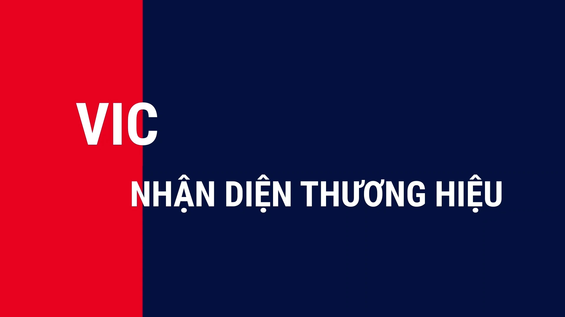 VIC – NHẬN DIỆN THƯƠNG HIỆU MỚI